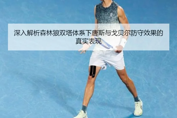 深入解析森林狼双塔体系下唐斯与戈贝尔防守效果的真实表现
